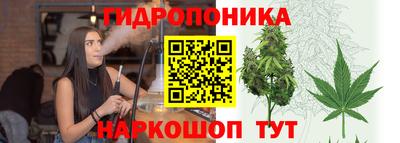 гашиш Дубна