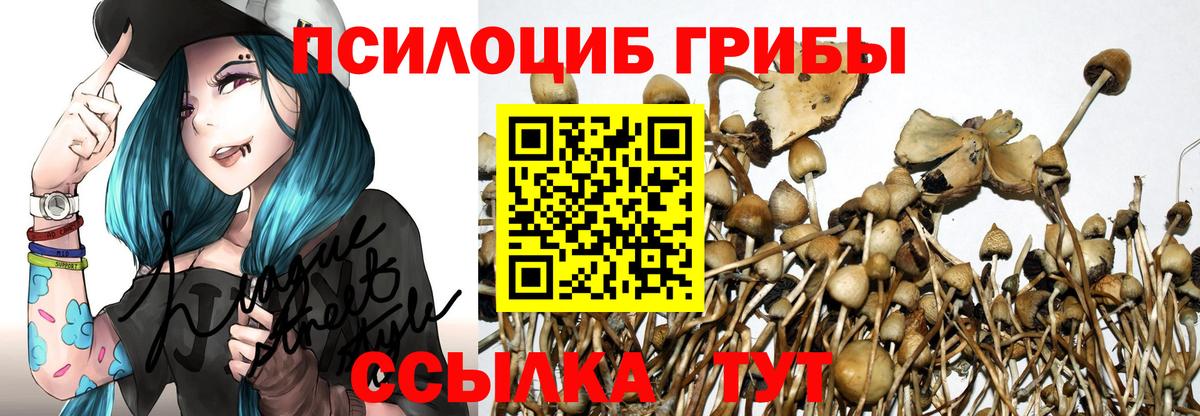 Галлюциногенные грибы MAGIC MUSHROOMS  Вход с VPN  Псилоцибиновые грибы GOLDEN TEACHER  Майкоп 